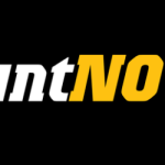 puntnow logo
